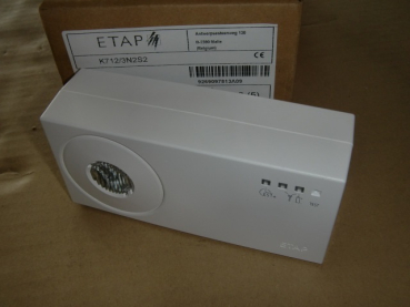 K712/3N2 S2-T0 Sicherheitsleuchte LED 3h